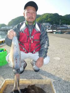 神谷一文字 ヤエン&ウキ釣りでのアオリイカ