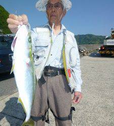 沖一文字内向き、カゴ釣りでハマチの釣果