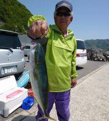 沖一文字内向き、カゴ釣りでハマチの釣果