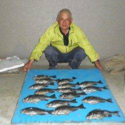 野原磯でグレ32.5cmを頭に16匹