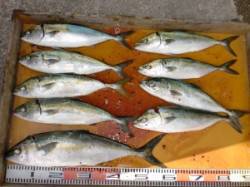 三尾の磯、ショアジギングでヒラマサ・ハマチ…