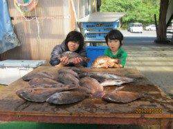 田井の釣り堀　マダイ・メジロの釣果
