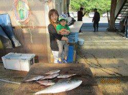 田井の釣り堀　マダイ・メジロの釣果