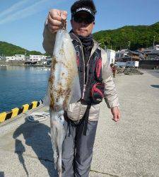 沖一文字内向き　夜釣りでのアオリイカ釣果