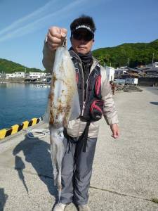 沖一文字内向き　夜釣りでのアオリイカ釣果