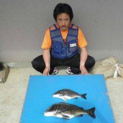 田井の磯・長浜道沿いでフカセ釣り　チヌ50cmオーバーも♪