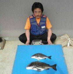 田井の磯・長浜道沿いでフカセ釣り　チヌ50cmオーバーも♪