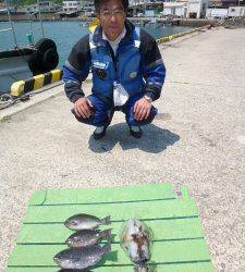 沖一文字内向きのウキで良型アオリイカ、半夜ヤエンも釣果あり