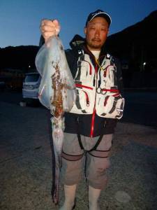 沖一文字内向きのウキで良型アオリイカ、半夜ヤエンも釣果あり