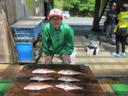 田井の釣り堀　メジロ＆マダイの釣果