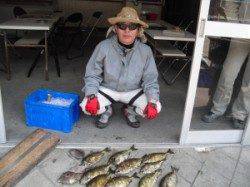 キハチ磯ではアイゴが好釣♪