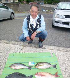 沖一文字外向きで多彩な釣果〜イサギ・マダイ・グレ・シマアジ・アイゴ