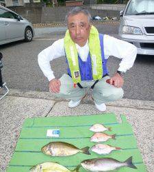 沖一文字外向きで多彩な釣果〜イサギ・マダイ・グレ・シマアジ・アイゴ