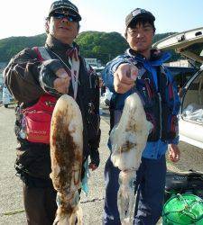 沖一文字内向きでアオリイカ、ヤエンでの釣果です