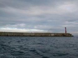 沖一文字内向きでアオリイカ、ヤエンでの釣果です