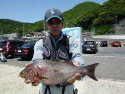 沖一文字外向きでジャンボイサギ！カゴ釣りにて