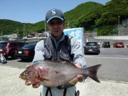 沖一文字外向きでジャンボイサギ！カゴ釣りに…