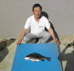 野原磯でチヌ52.7cm！