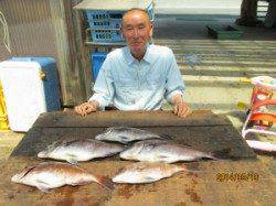 【19日】田井観光フィッシングでのマダイ釣果