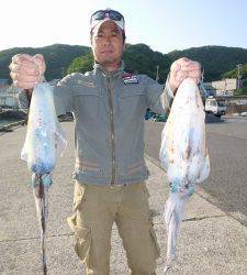 沖一文字内向き・神谷一文字　ヤエンでのアオリイカ釣果