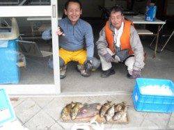 大磯で良型のアイゴとウマヅラハギの釣果