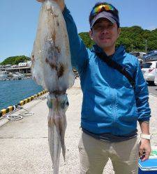 ケムリ島でエギング　アオリイカ1.3kgをキャッチ