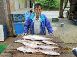 宮津・田井の海上釣り堀〜メジロ・マダイ放流中