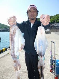 神谷一文字　ヤエンのアオリイカ釣果