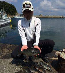 串本の磯　フカセでグレの釣果