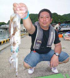 神谷一文字のエギング釣果〜キロUPのアオリイカ