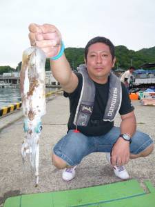 神谷一文字のエギング釣果〜キロUPのアオリイカ