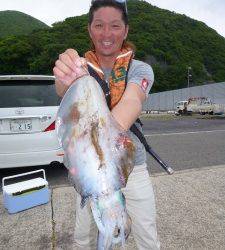神谷一文字のエギング釣果〜キロUPのアオリイカ