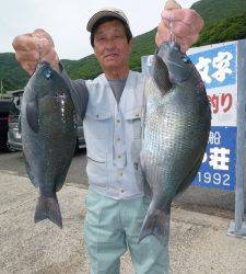 沖一文字外向きのカゴ釣りでグレ40cm！　