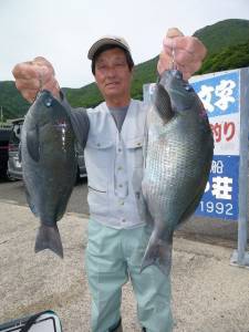 沖一文字外向きのカゴ釣りでグレ40cm！　…