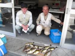 大磯にて酒カスをエサに良型アイゴの釣果