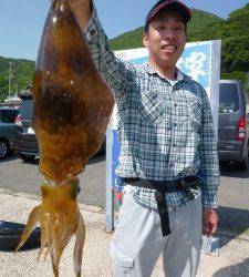 神谷崎地磯 ヤエンでアオリイカ1.4kg　一文字のエギングでも釣果あり