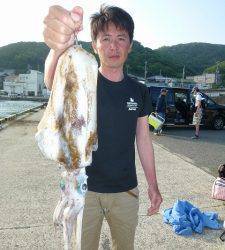 神谷崎地磯 ヤエンでアオリイカ1.4kg　一文字のエギングでも釣果あり