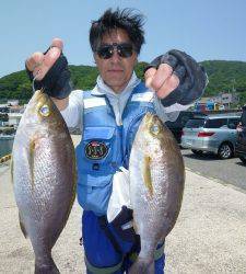 沖一文字外向きにて良型イサギの釣果