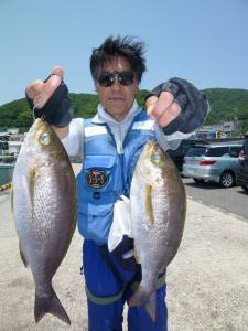 沖一文字外向きにて良型イサギの釣果