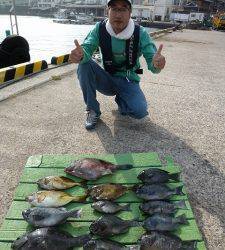沖一文字のカゴ釣りでグレ45cm&35cm