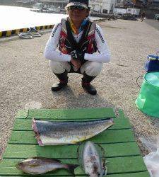 神谷沖一文字 のませ釣りでシイラ・ハマチ、ヤエンでアオリイカも