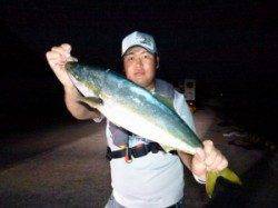 神谷沖一文字 のませ釣りでシイラ・ハマチ、ヤエンでアオリイカも