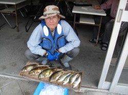 大磯のフカセ釣果〜アイゴ・マアジ・チヌ・ウマヅラ