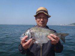 須磨海づり公園、カゴ天秤仕掛けでチヌ42cm