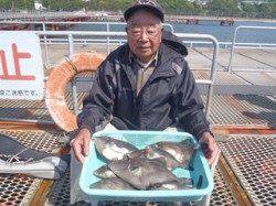 須磨海づり公園　ハゲ掛け仕掛けでウマヅラハギ7尾