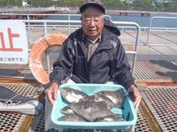 須磨海づり公園　ハゲ掛け仕掛けでウマヅラハ…