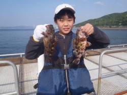 須磨海釣り公園　落とし込みでガシラの釣果