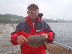 須磨海づり公園　投げ釣りでカレイの釣果