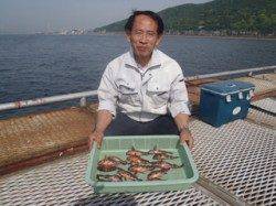 須磨海づり公園　シラサでガシラ20尾