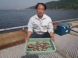 須磨海づり公園　シラサでガシラ20尾